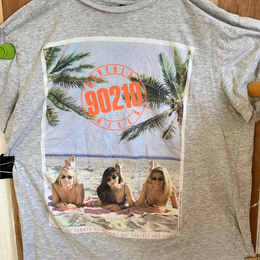 Beverly Hills 90, 2010 T-shirt, grey large
